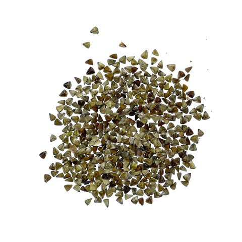 Seed Needs Bells of Ireland attracts pollinators with green blooms.