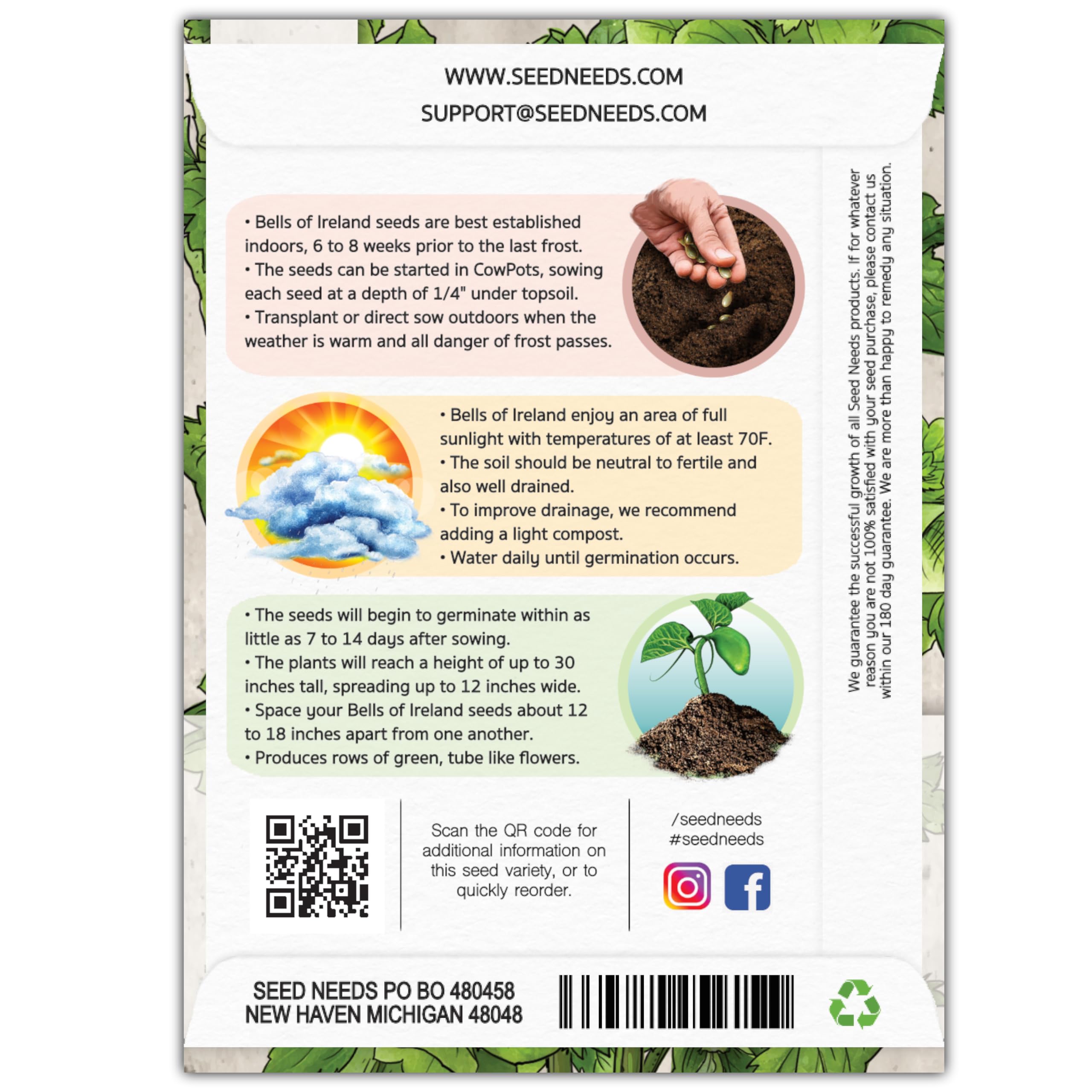 Seed Needs Bells of Ireland artwork on packet inspires seed-sowing projects and planning