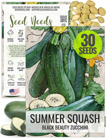 Seed Needs Black Beauty zucchini fruit ready for fresh harvest.