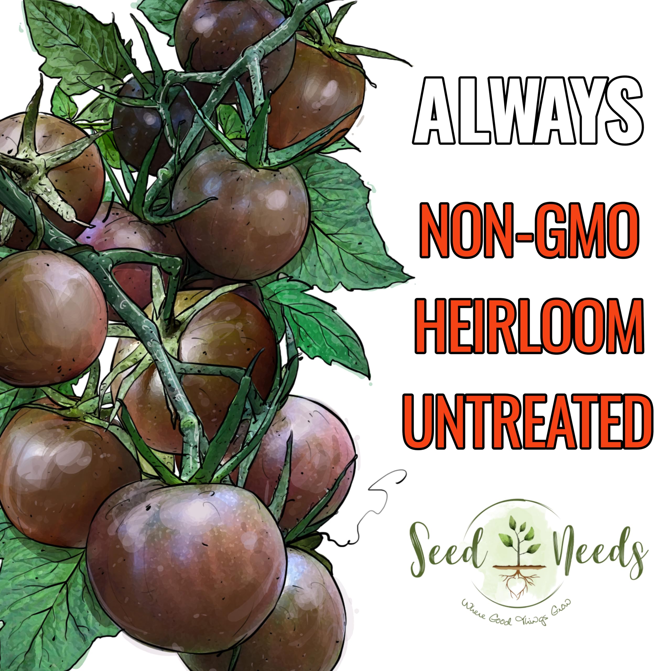 Seed Needs Black Cherry tomato seeds in garden scene for outdoor planting