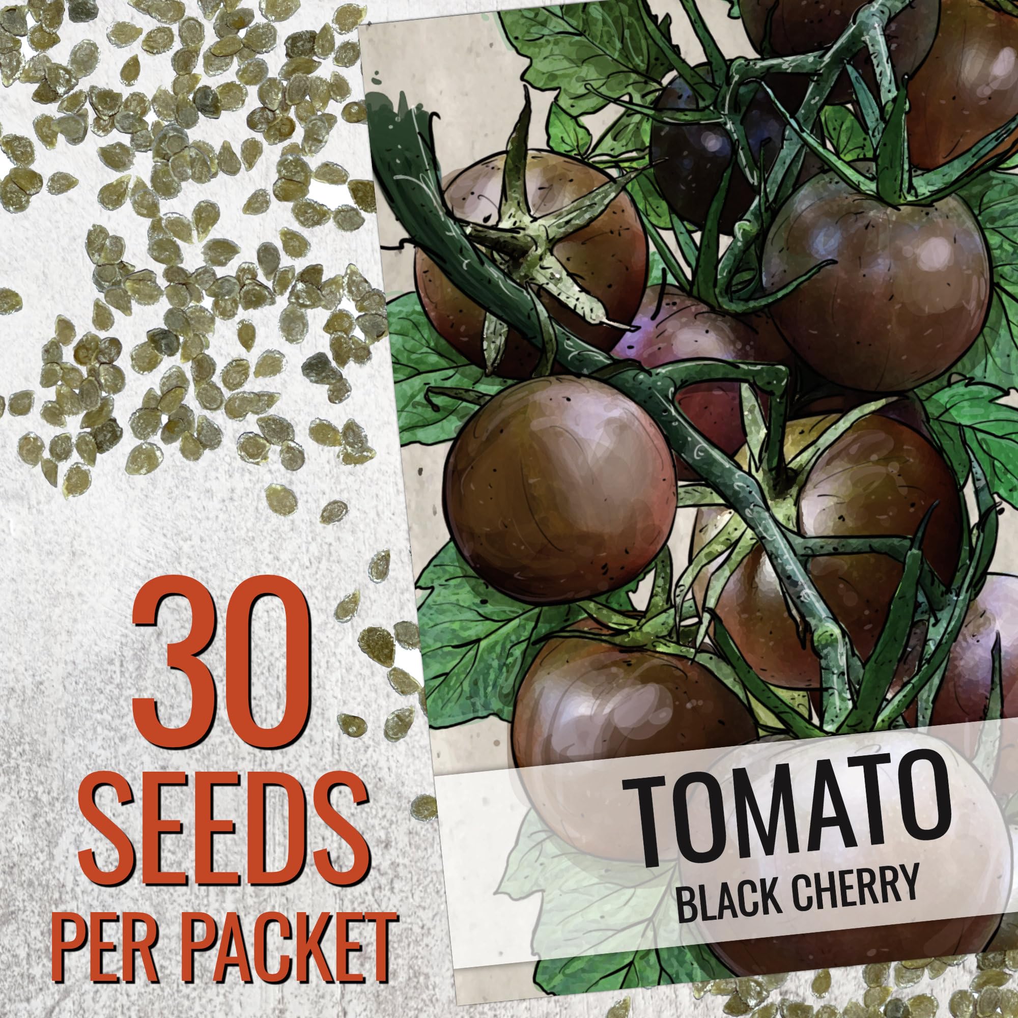 Seed Needs Black Cherry tomato seeds illustration on pack