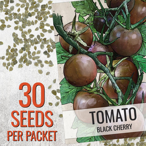 Seed Needs Black Cherry tomato seeds illustration on pack
