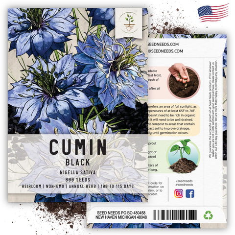 Seed Needs Black Cumin Seeds closeup grains emphasize freshness and germination potential