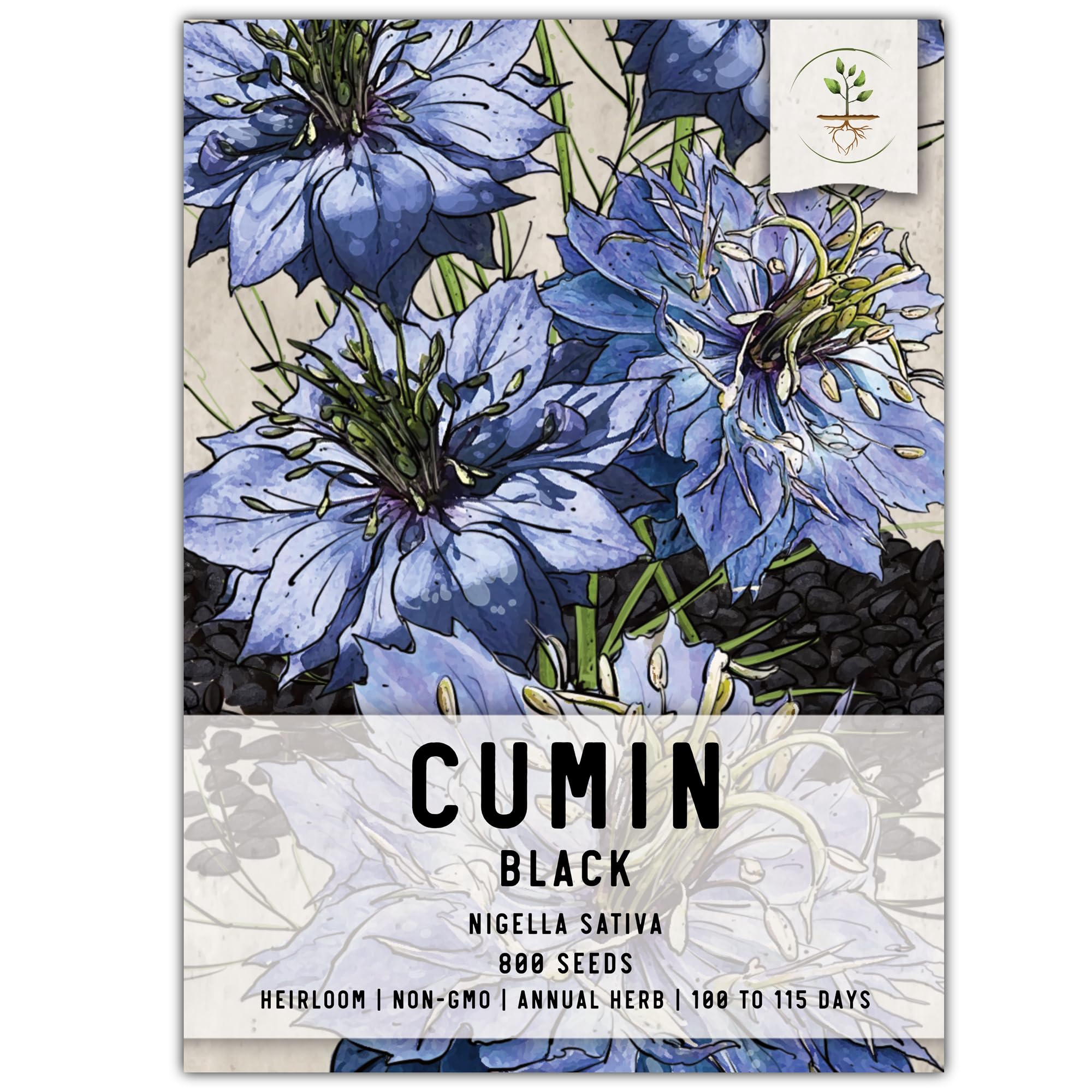 Seed Needs Black Cumin Seeds package front highlighting freshness and heirloom quality