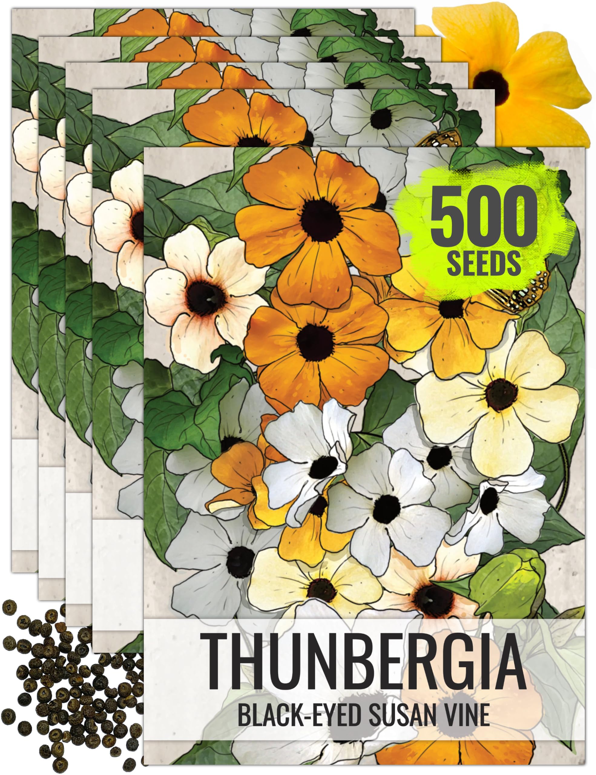 Seed Needs Black-Eyed Susan Vine seeds pack, ideal for quick fence coverage.