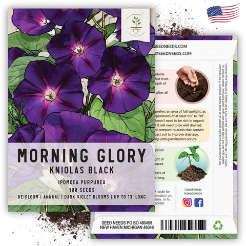 Seed Needs open-pollinated heirloom seeds for easy home gardening.