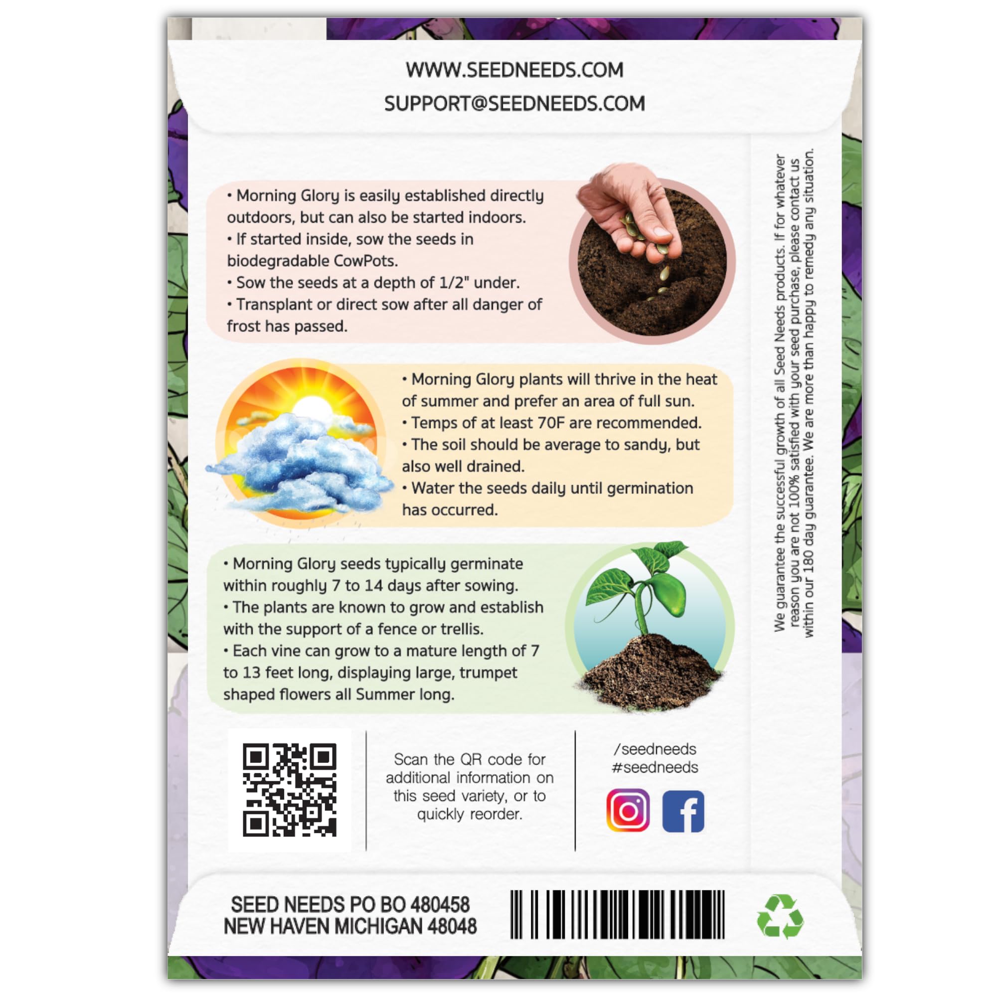 Seed Needs Black Kniolas Morning Glory seed pack back with sowing instructions.