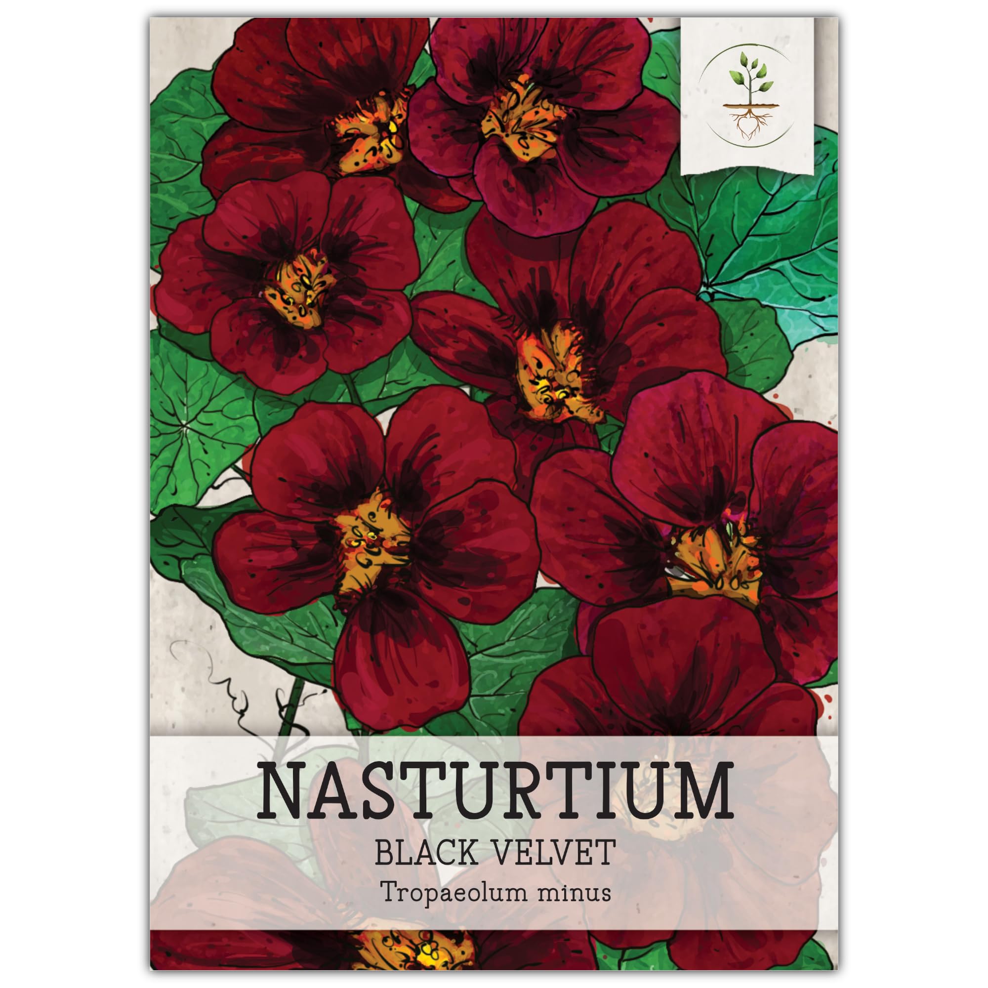 Seed Needs Black Velvet Nasturtium flowers close-up, edible color for salads and garnishes.