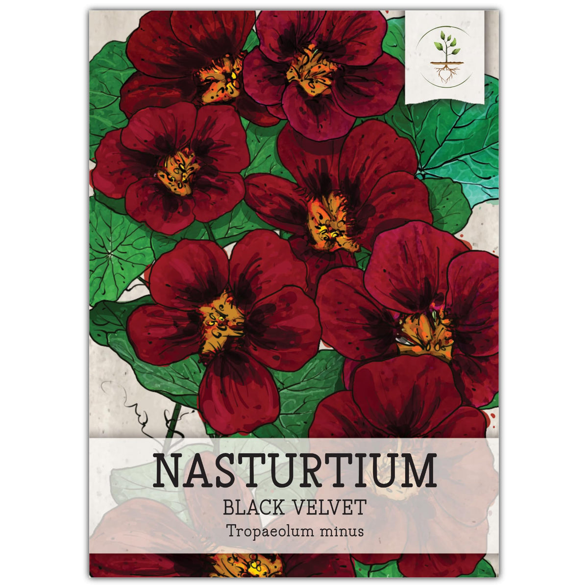 Seed Needs Black Velvet Nasturtium flowers close-up, edible color for salads and garnishes.