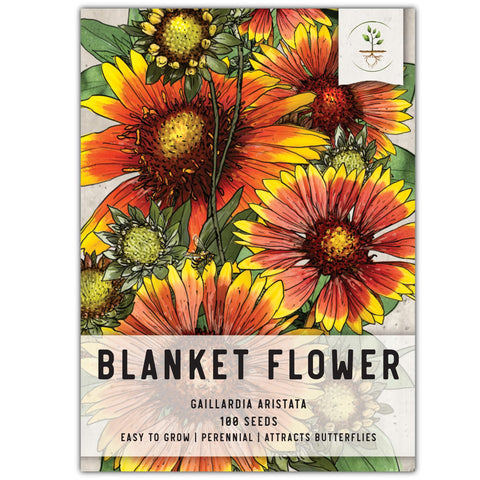 Seed Needs blanket flower seed packet front with illustration for easy sowing