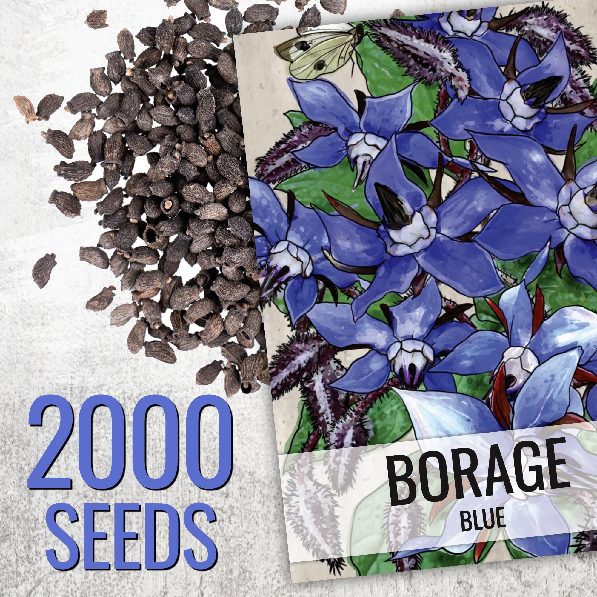 Seed Needs seed packets feature sowing guidance for successful gardens
