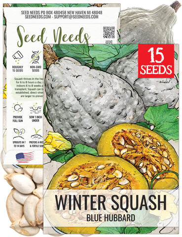 Seed Needs Blue Hubbard squash seeds pack for home gardening and long storage.