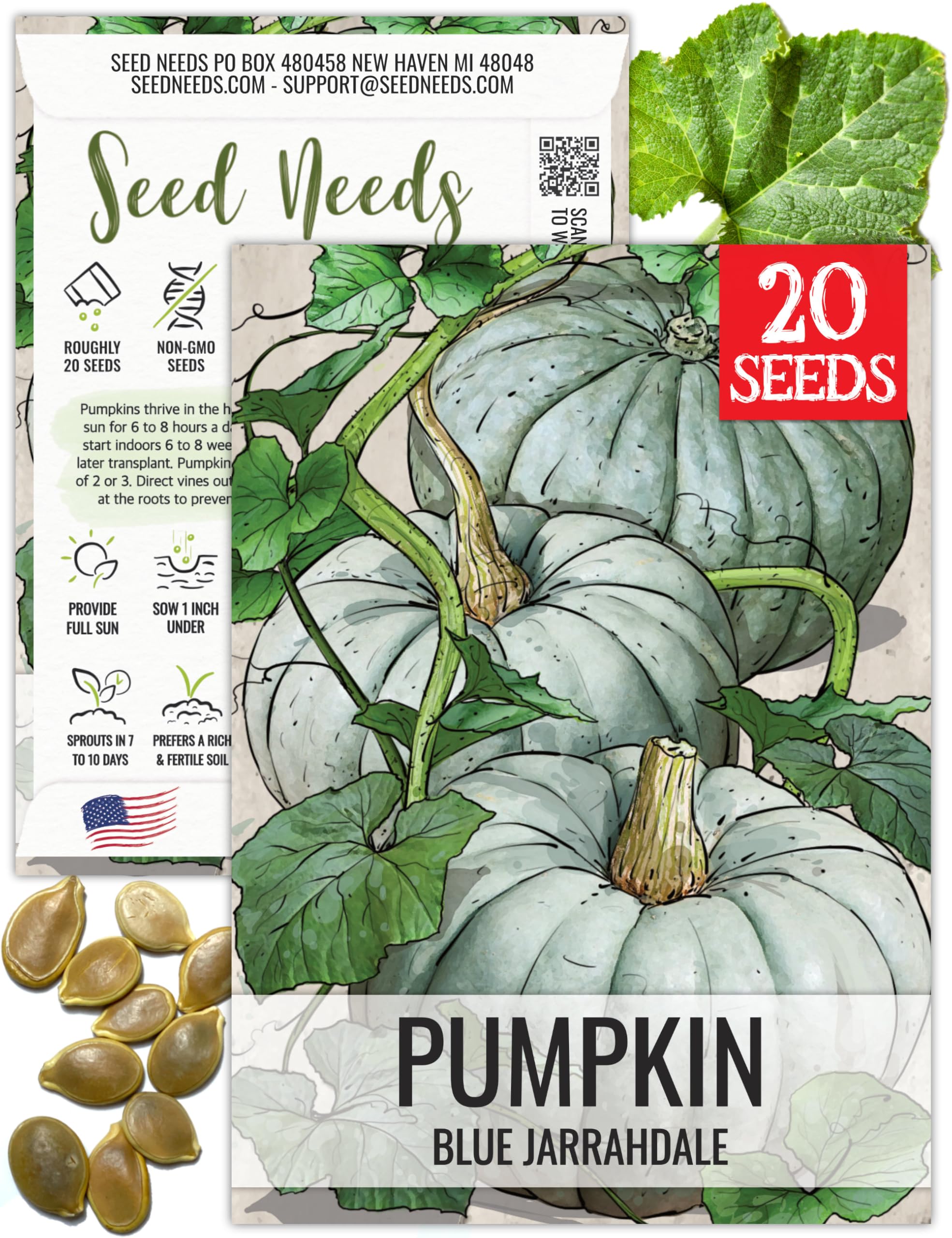 Seed Needs blue jarrahdale seed packet art highlights planning and gifting