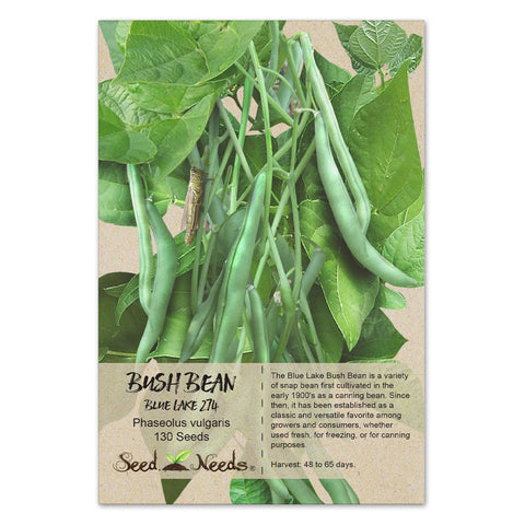 Seed Needs Blue Lake 274 bush plant shows compact habit ideal for small gardens.