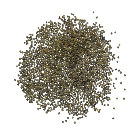 Seed Needs butterfly garden color palette with poppies attracts pollinators.
