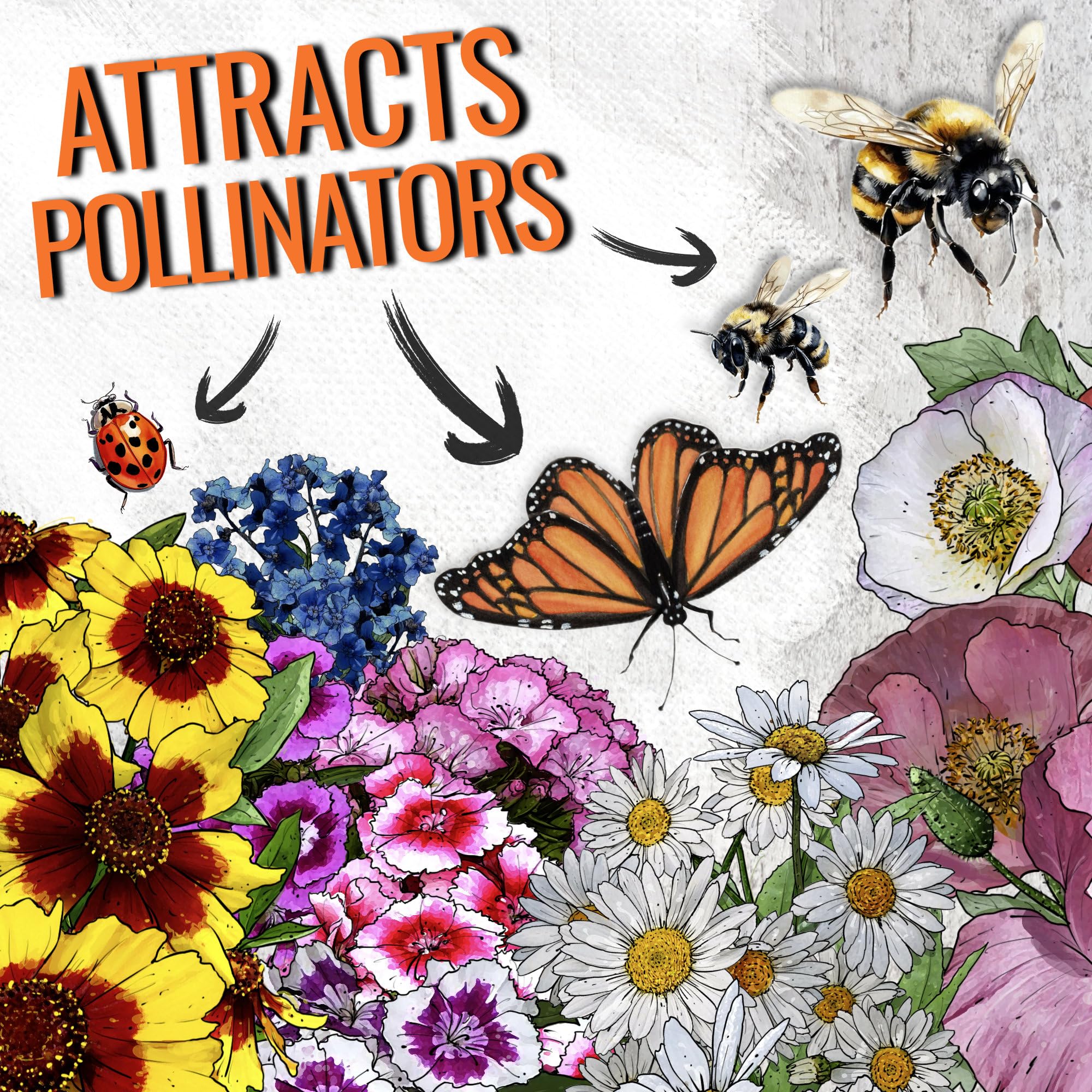 Seed Needs butterfly garden seeds in shade-tolerant mix attract pollinators