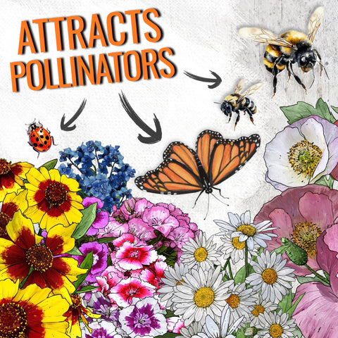 Seed Needs butterfly garden seeds in shade-tolerant mix attract pollinators
