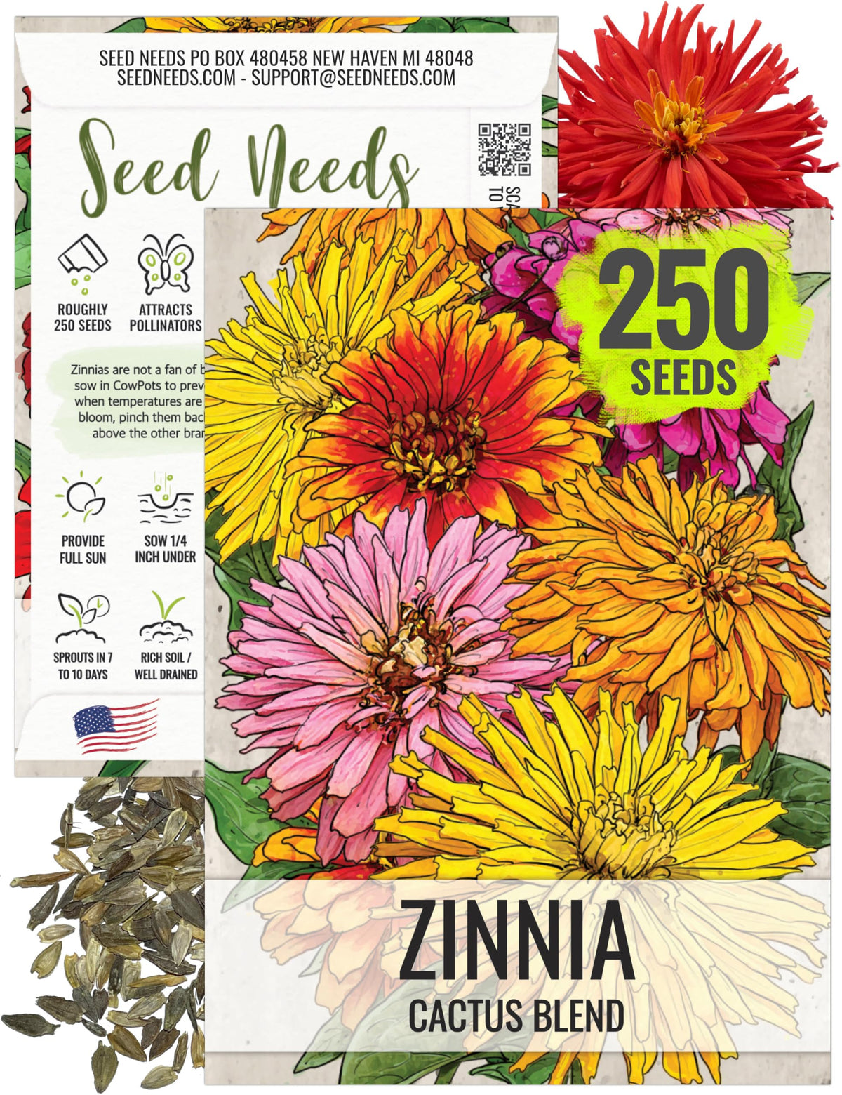 Seed Needs cactus zinnia seeds mixed colors pack for vibrant garden borders