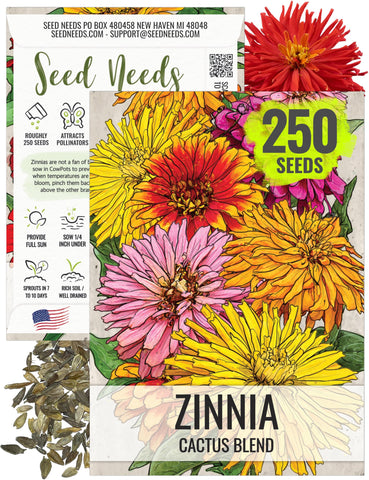 Seed Needs cactus zinnia seeds mixed colors pack for vibrant garden borders