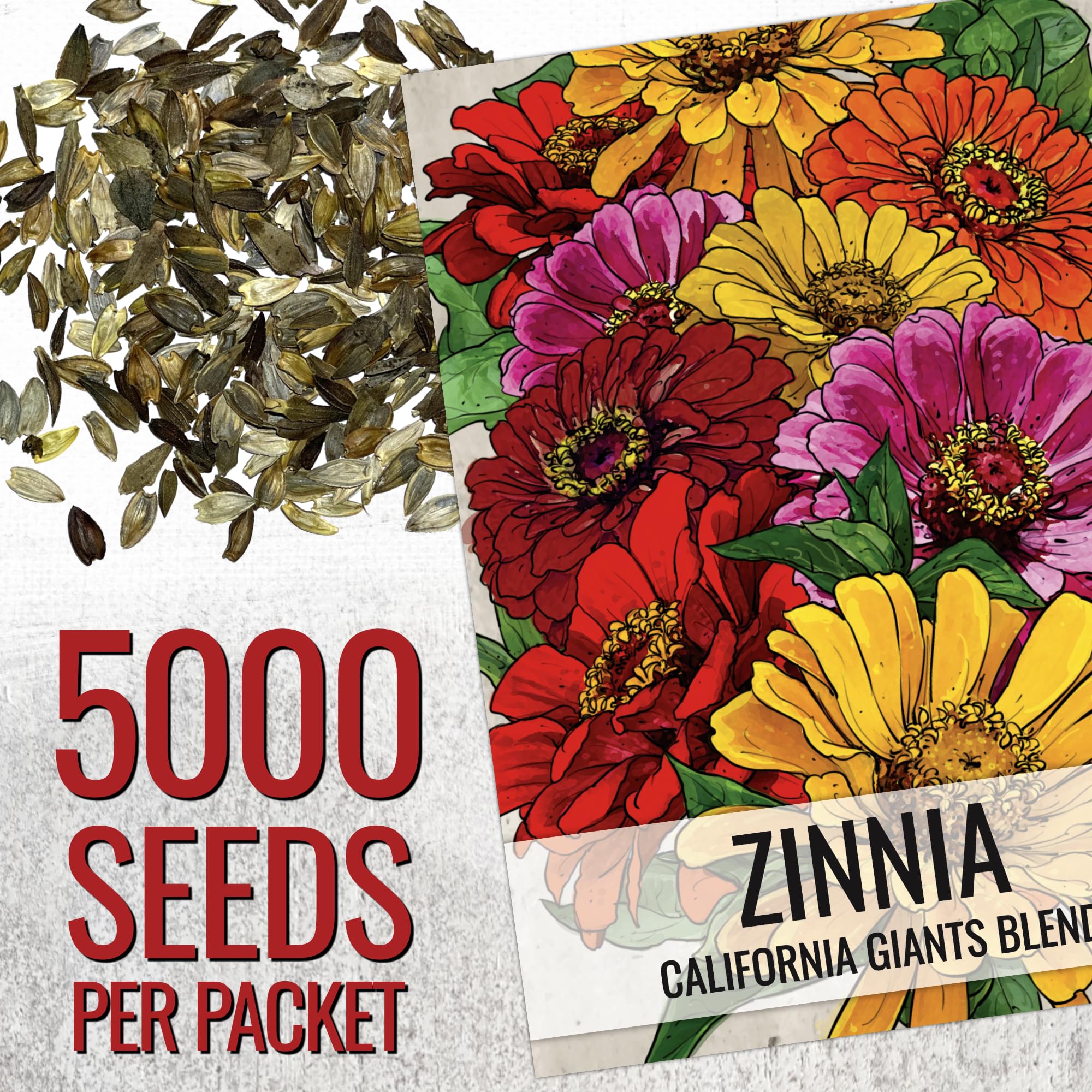 Seed Needs California Giants zinnia in garden bed ready for color border