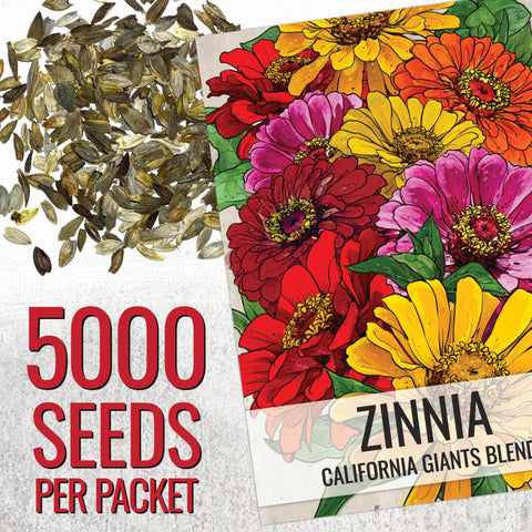 Seed Needs California Giants zinnia in garden bed ready for color border