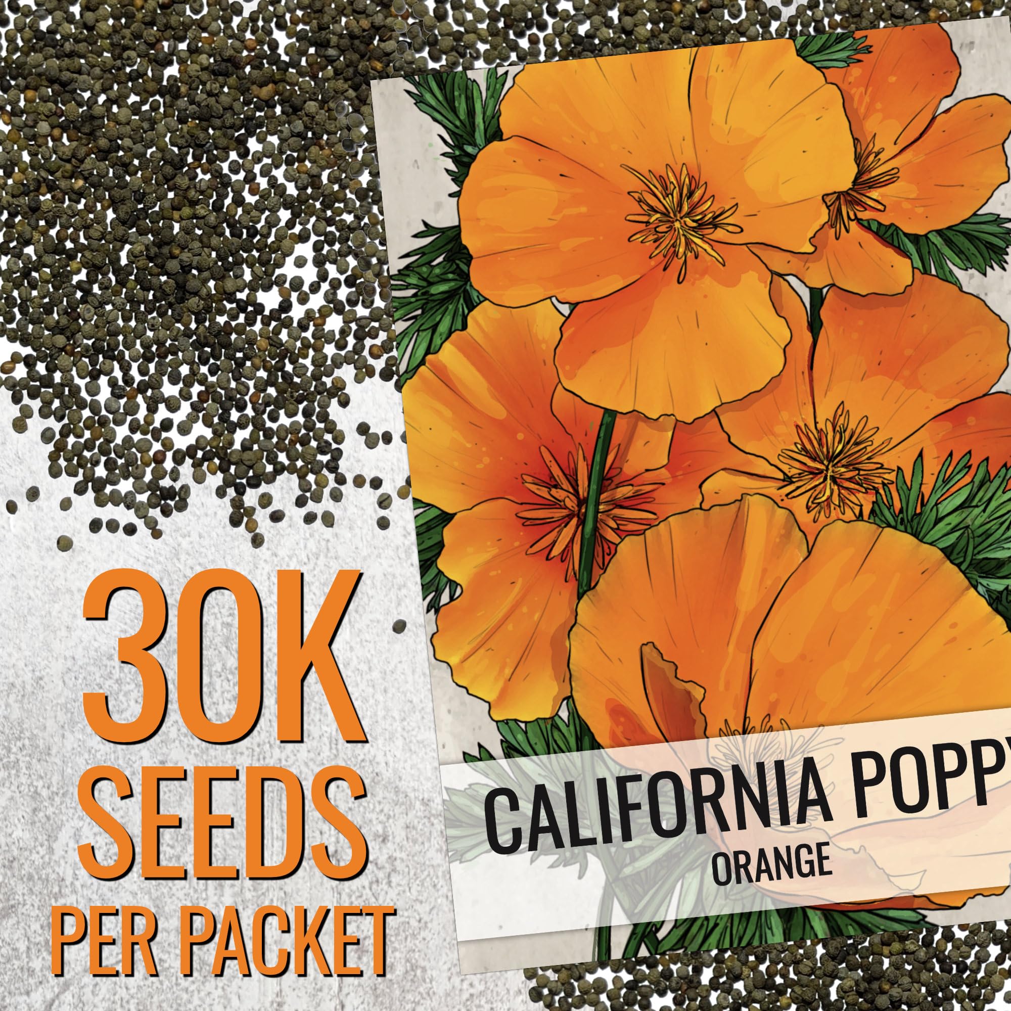 Maturing meadow scene of California Poppy wildflowers ready for reseeding