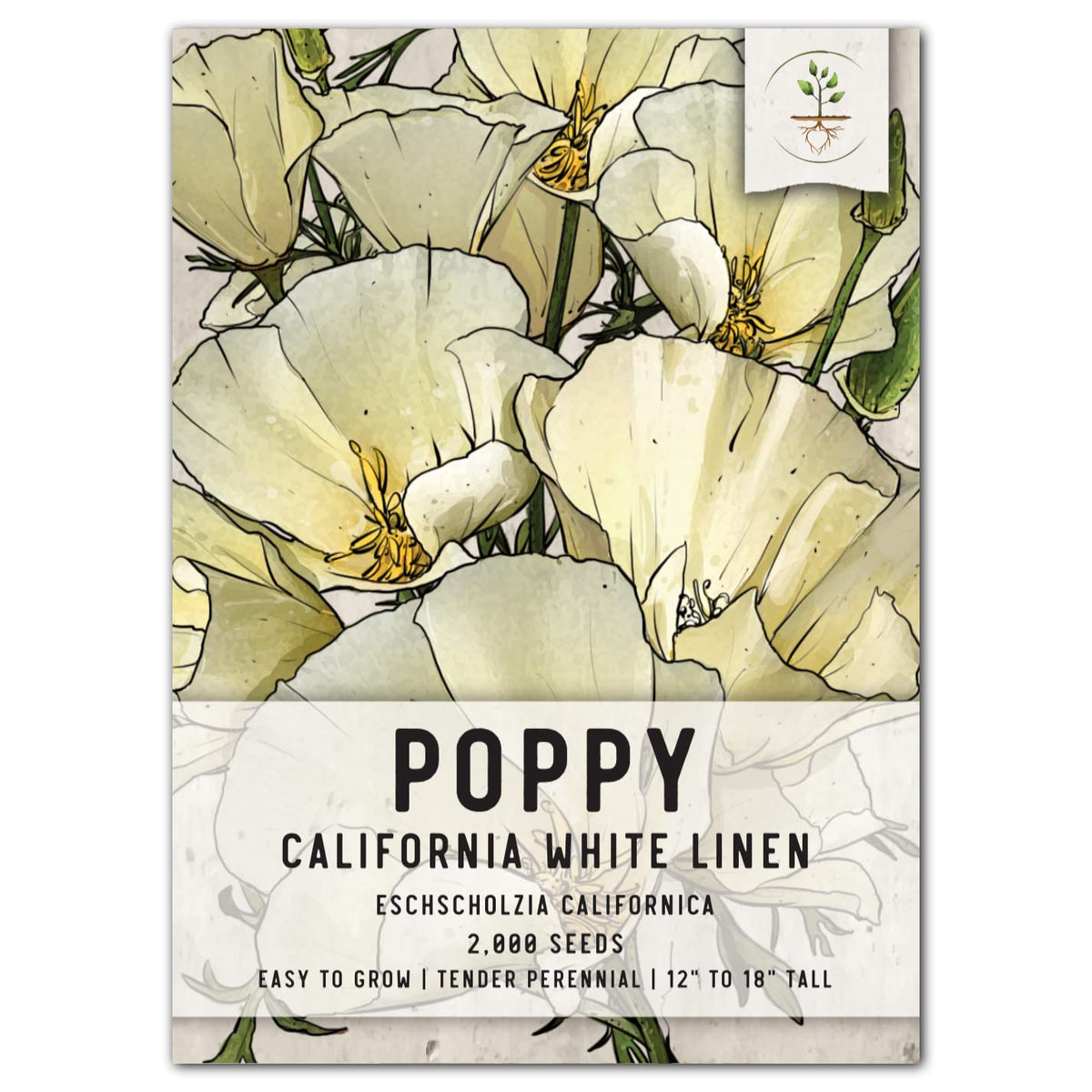 Seed Needs California Poppy White Linen petal close-up for serene garden color