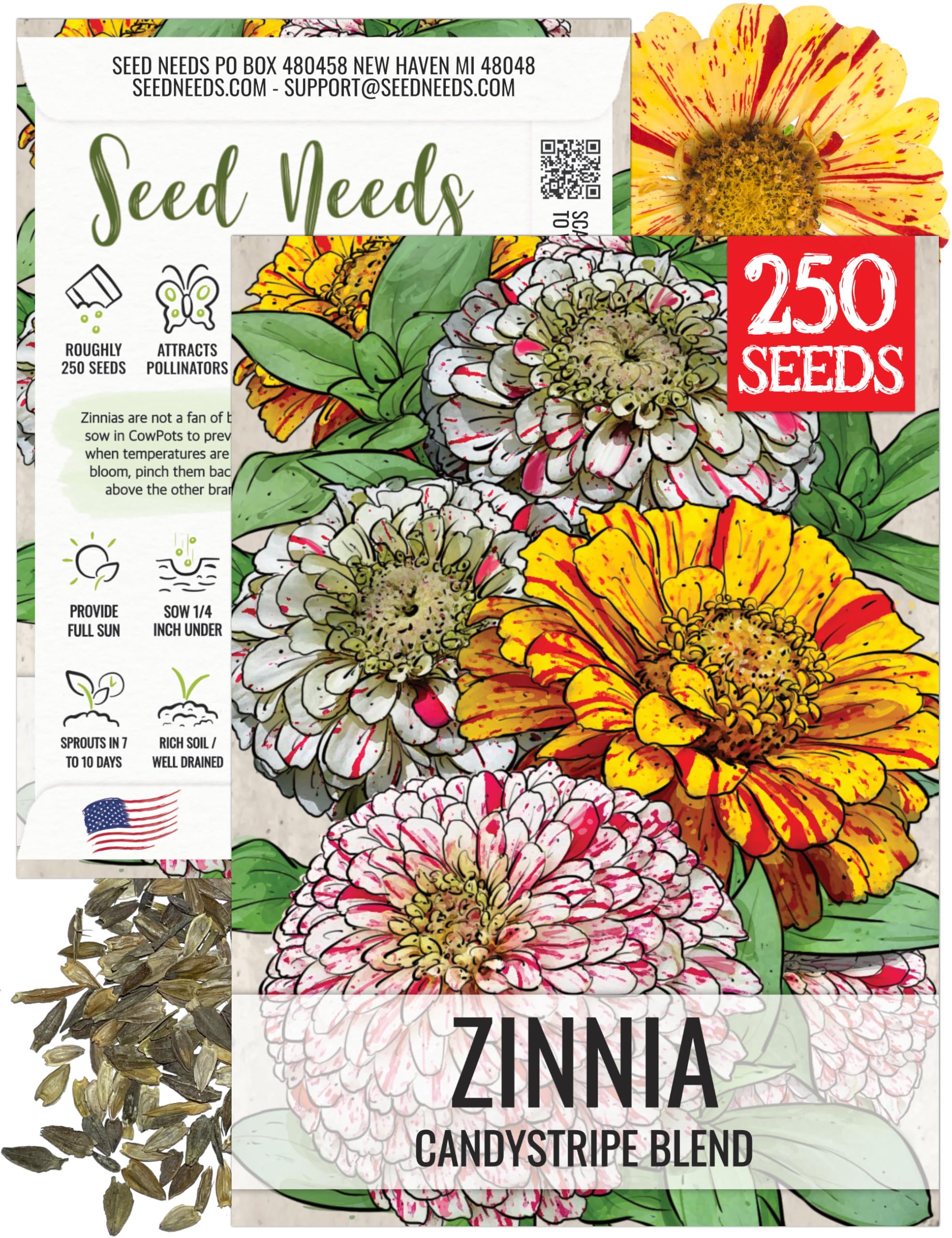 Seed Needs Candystripe zinnia bloom closeup for vibrant bouquets and pollinator gardens.