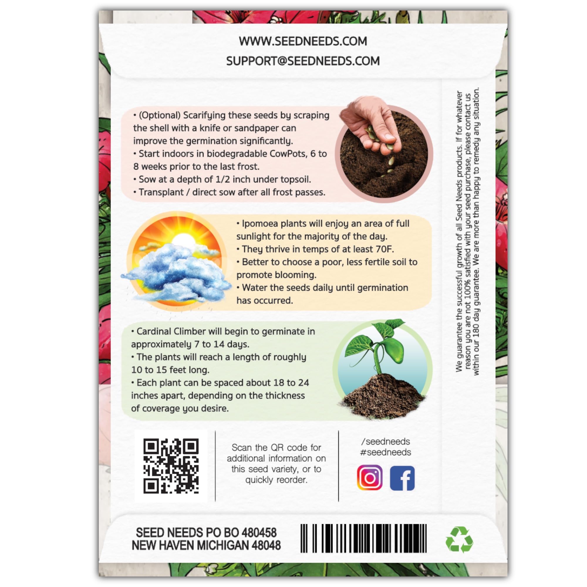 Seed Needs Cardinal Climber seeds pack back with sowing tips