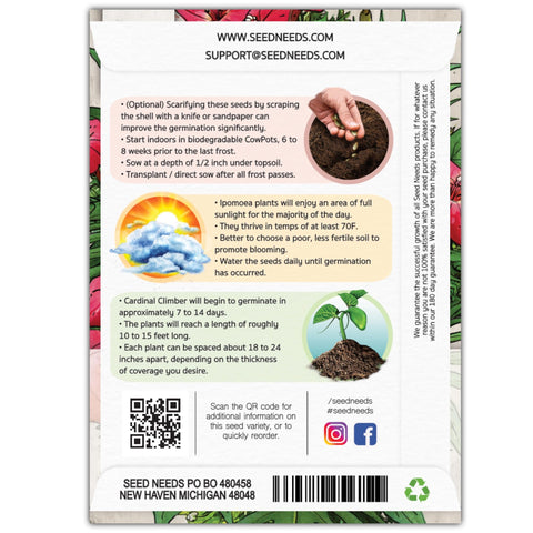 Seed Needs Cardinal Climber seeds pack back with sowing tips