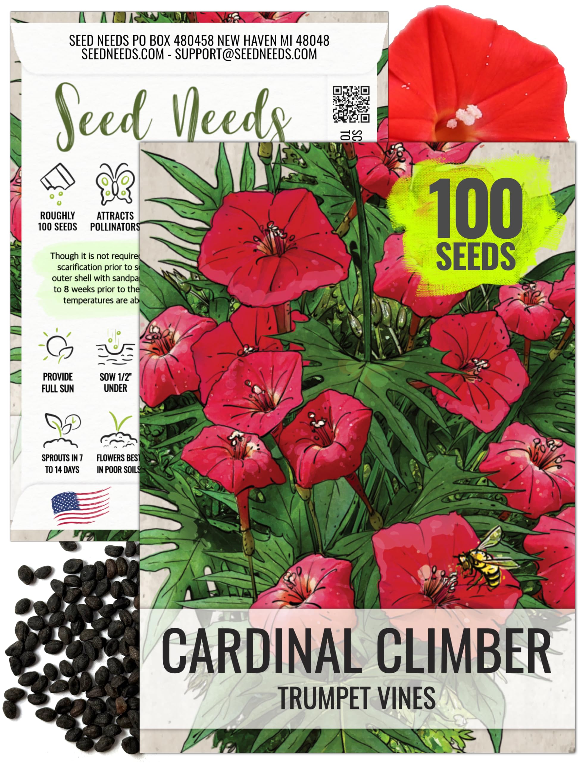 Seed Needs Cardinal Climber seeds pack front, ready for sowing