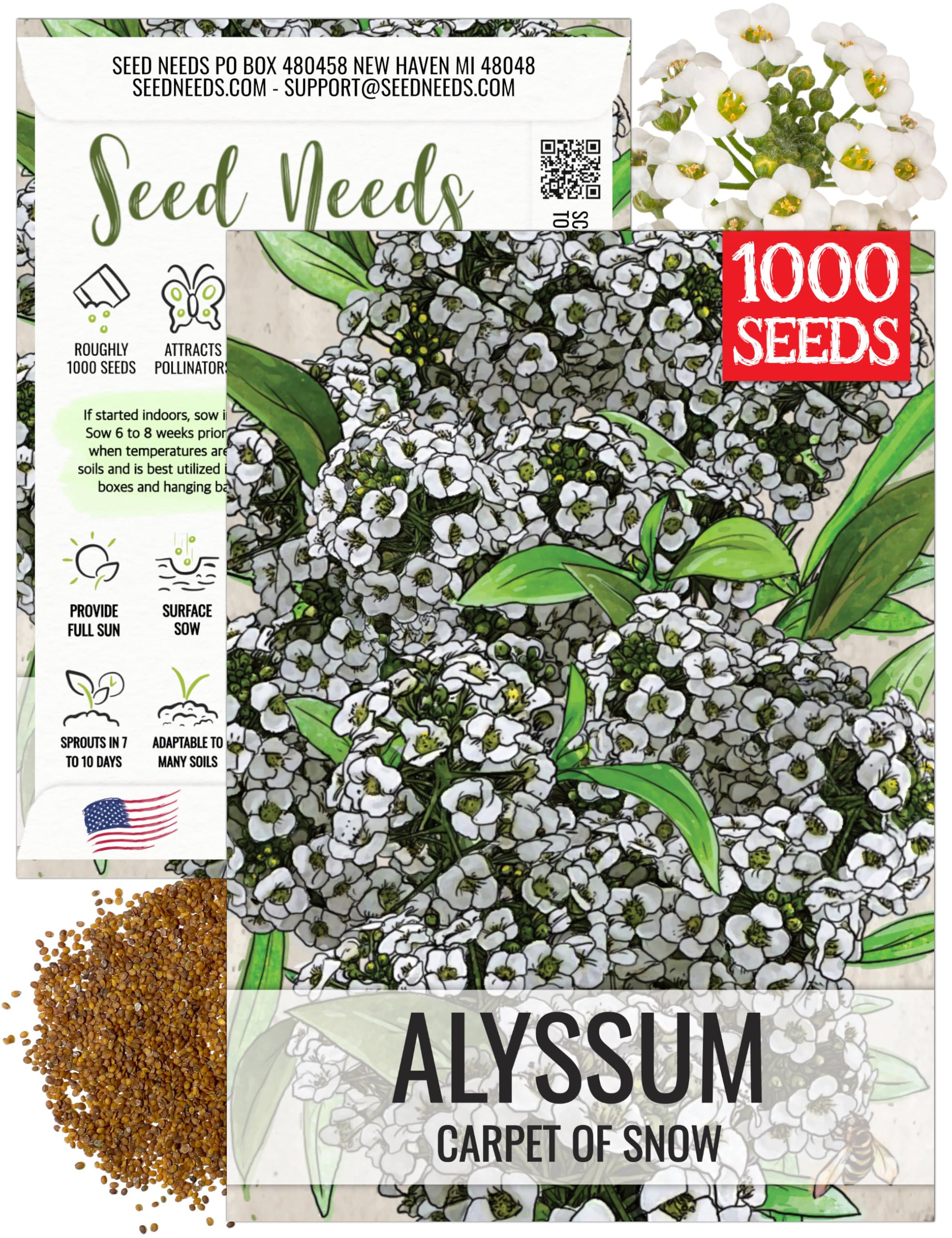 Seed Needs Carpet of Snow Alyssum with tiny white blooms carpeting a garden