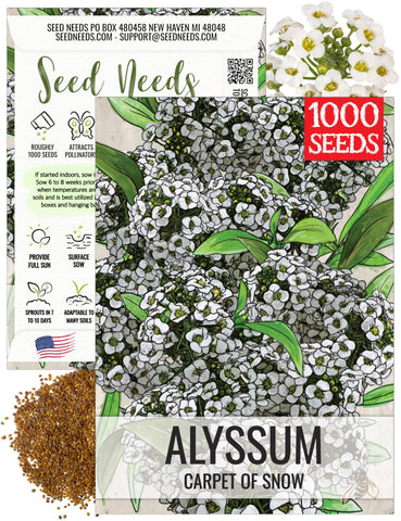 Seed Needs Carpet of Snow Alyssum with tiny white blooms carpeting a garden