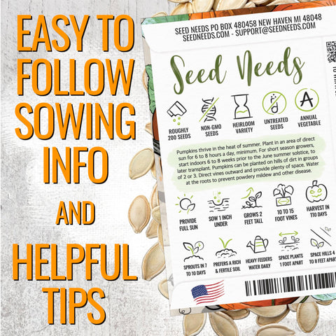 Seed Needs carved pumpkin jack-o-lantern—orange rind and shallow ribs ideal for Halloween