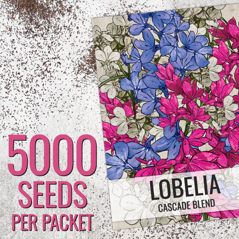 Seed Needs Cascade Mix Lobelia seeds in hanging baskets display color.