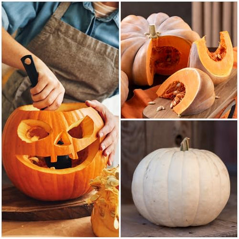 Seed Needs Casper White pumpkins ideal for painting and pies