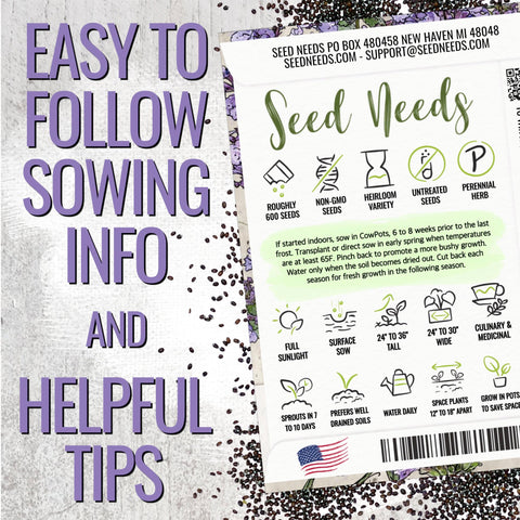 Seed Needs Catmint flower clusters in bloom attracting pollinators.