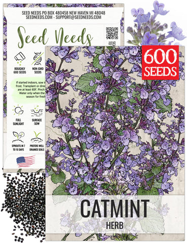 Seed Needs Catmint seed pack front with Nepeta mussinii illustration for easy planting.