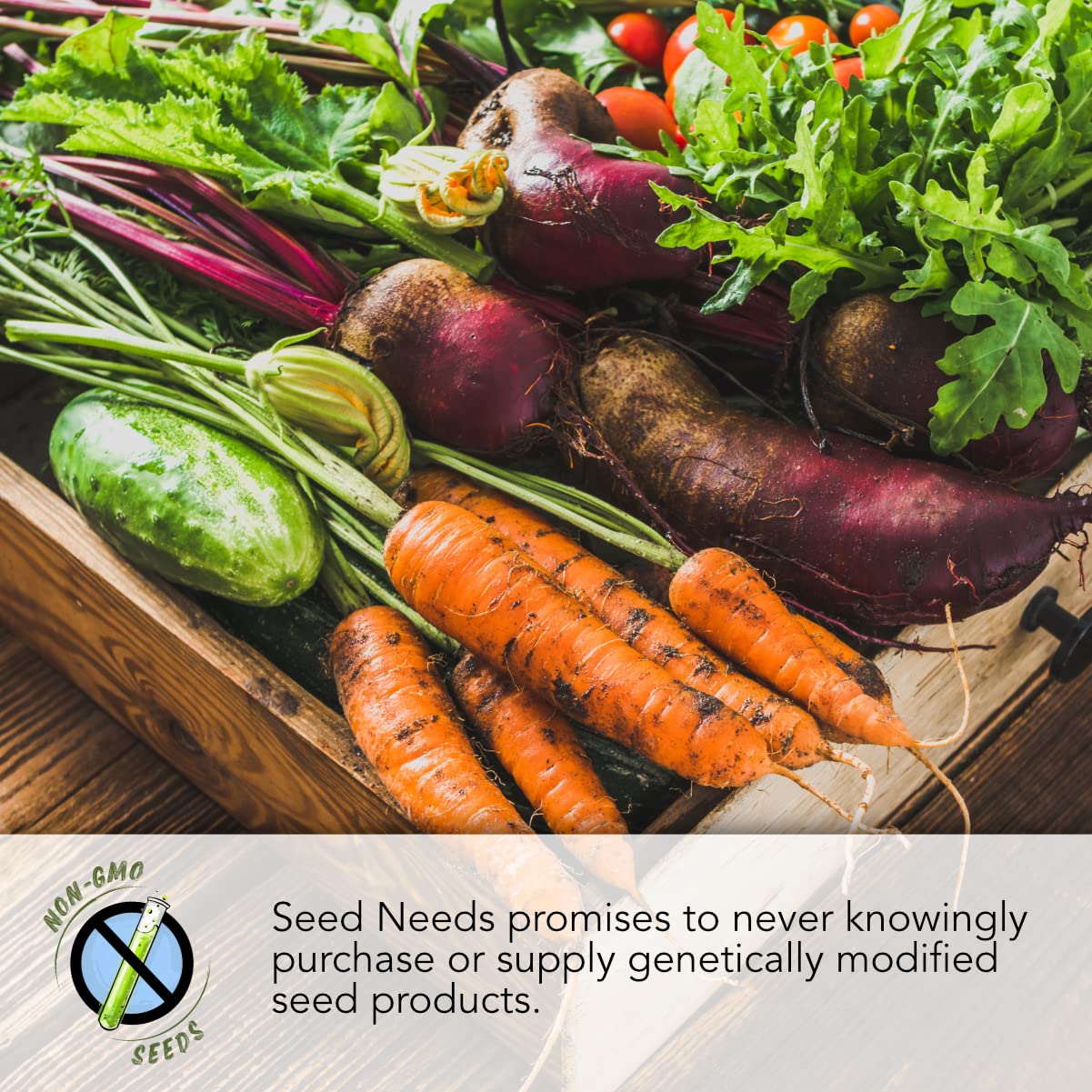 Seed Needs Snowball Y Improved front illustration for dependable harvest
