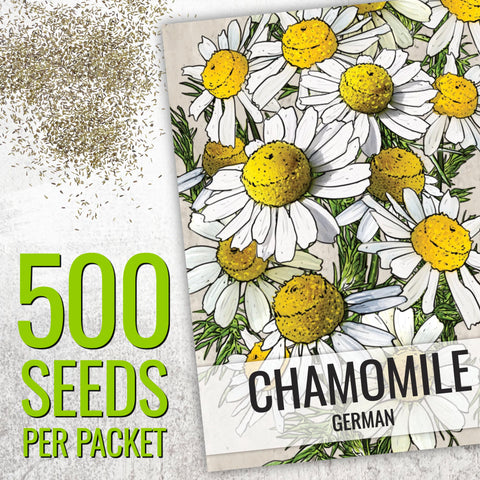 Seed Needs German chamomile seed packaging with sowing instructions.
