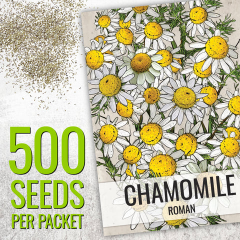Seed Needs Roman chamomile ground-cover in sunny bed.