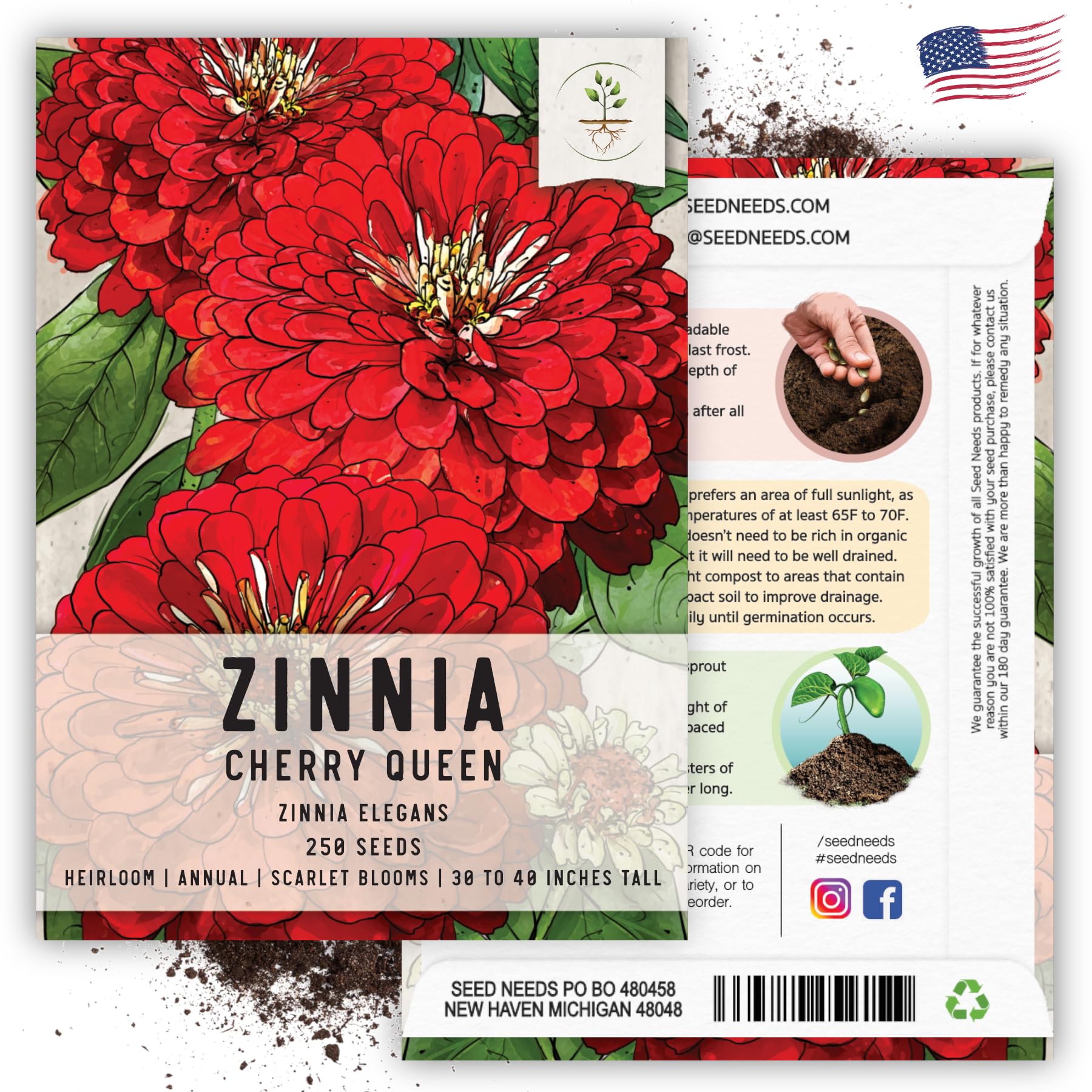 Seed Needs Cherry Queen Zinnia seed packet art with sowing guidance.