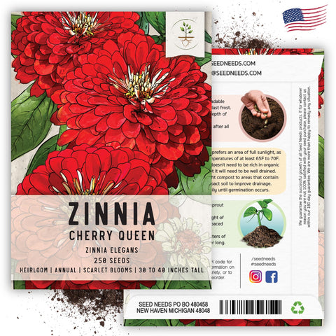 Seed Needs Cherry Queen Zinnia seed packet art with sowing guidance.