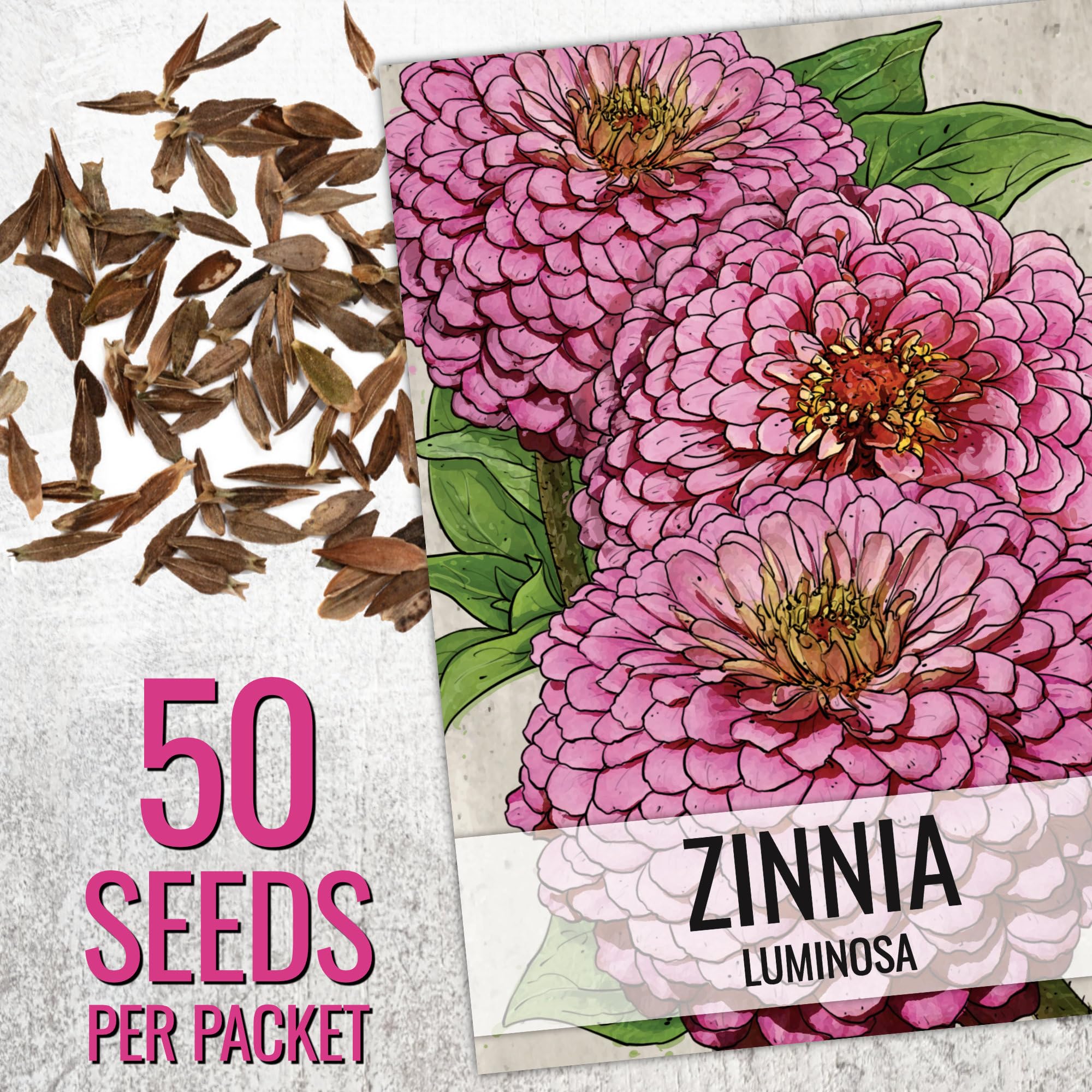 Seed Needs Cherry Queen Zinnia seed packet with lively pink-red blossoms