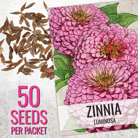 Seed Needs Cherry Queen Zinnia seed packet with lively pink-red blossoms