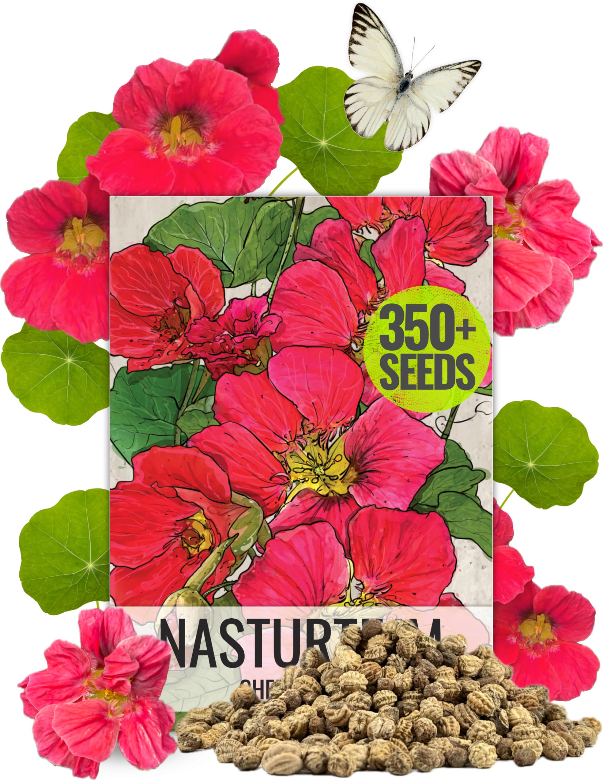 Seed Needs Cherry Rose Nasturtium bloom adds vibrant color to borders and containers.