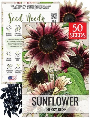 Seed Needs Cherry Rose Sunflower bloom close-up, bi-color petals for eye-catching displays.