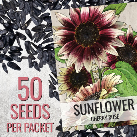 Seed Needs Cherry Rose stems with multiple heads for lush cut flower displays.
