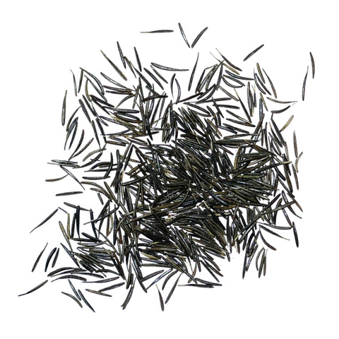 Seed Needs chervil harvest-ready-plants features ready-to-harvest foliage