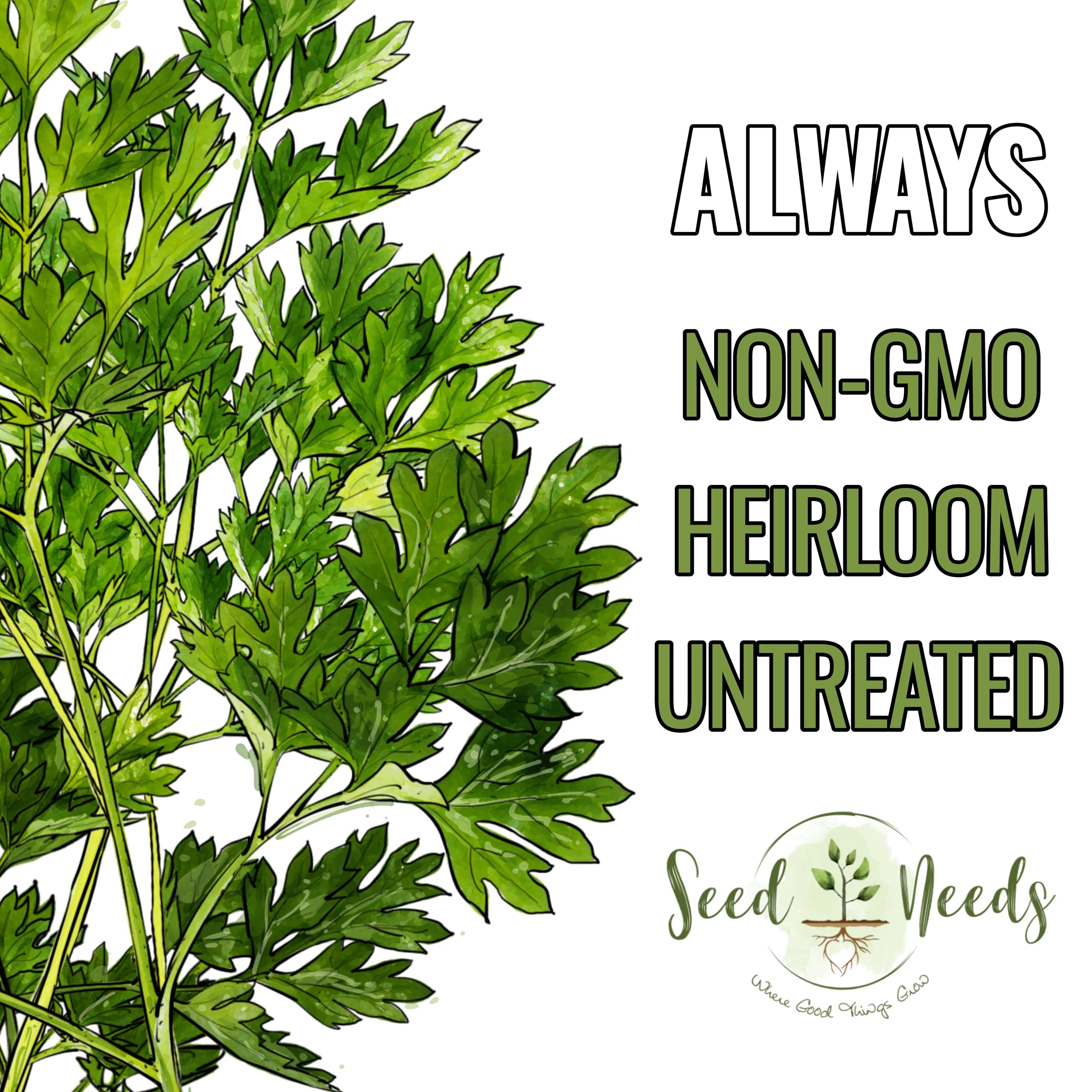 Seed Needs chervil indoor-starter showcases indoor planting for early harvest